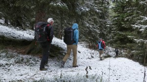 Wanderung zur Plattkofelhütte